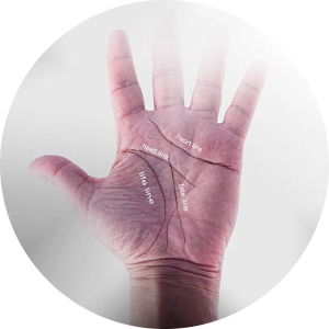 Palm Reading